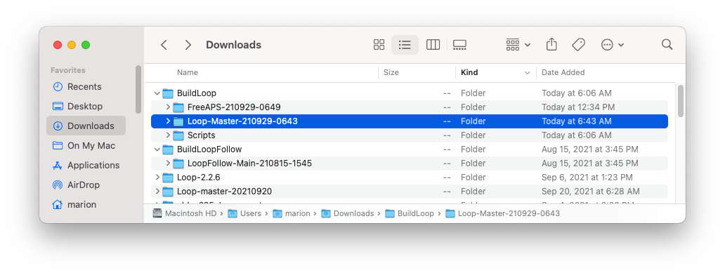 Download folder with multiple Loop folders