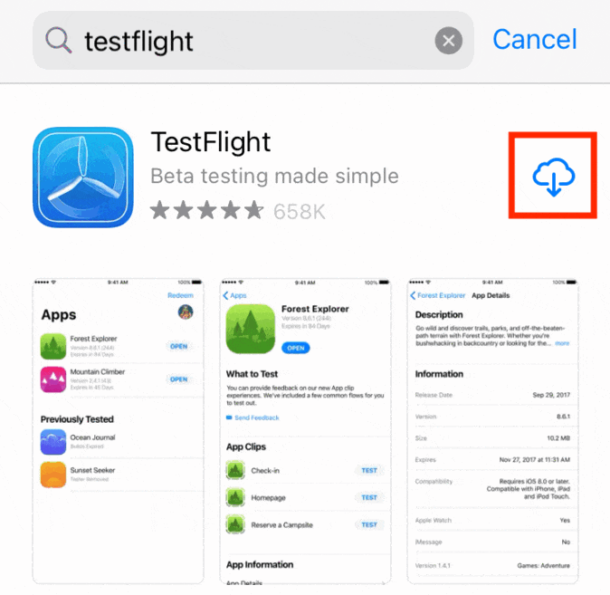 search for and dowload TestFlight