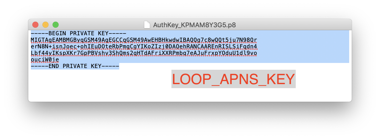 img/apns-copy-key2.png