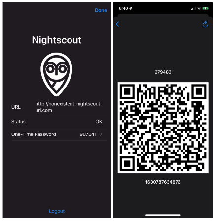 example screen for nightscout and qr code