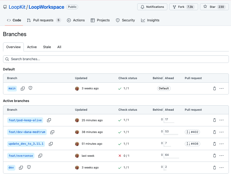 Active branches for LoopWorkspace