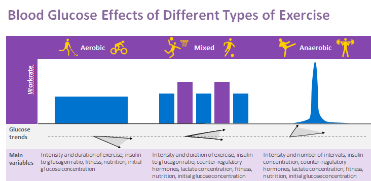 3 Types of Exercise Chart