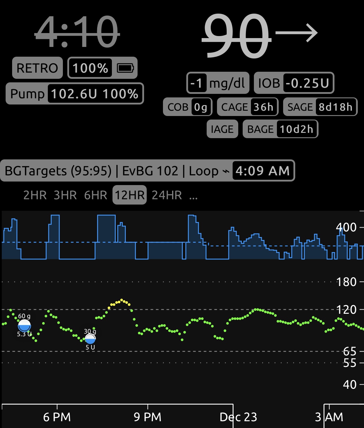 Pizza Bolus