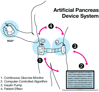 FDA Image